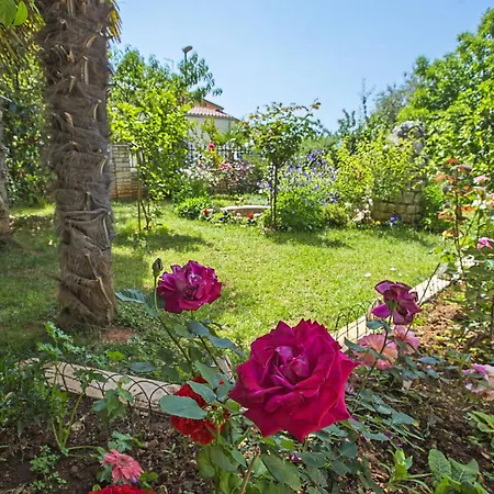 Danica-2 By Interhome Appartement *